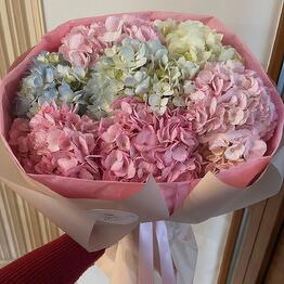 Pon Pon Flowers