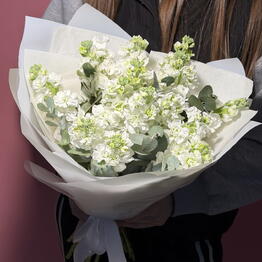 JOY FLOWERS (Radost cvetov)