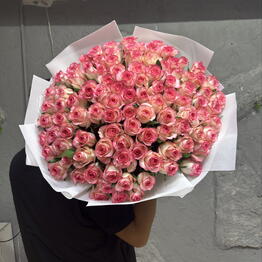dassy flowers