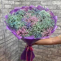 Gypsophila iridiscente, un enorme ramo de flores iridiscentes
