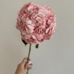 TIFFANY FLOWERS