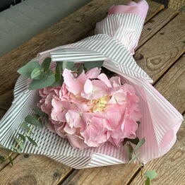 Studiya cvetov OM flowers