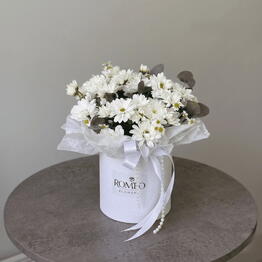 Romeo Flowers