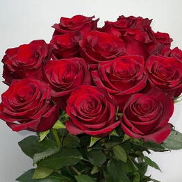 OK Flowers