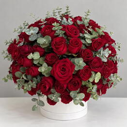 Premium Flowers