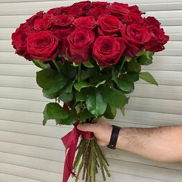 Rose Red Naomi