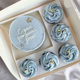 Bento Cake and Cupcakes Set