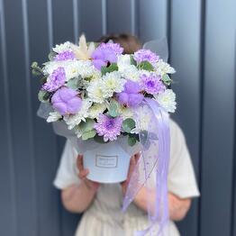 Lavanda