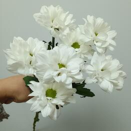 Dekor Flora