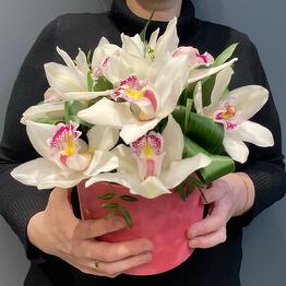 Flowers in a box Orchid