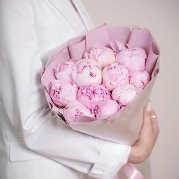 Delicate pink peonies