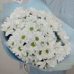 Bambini flowers