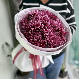 Belflorist