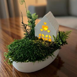 FreshMoss