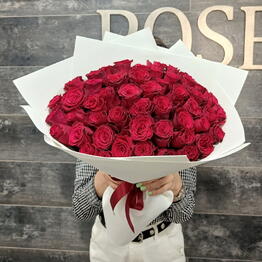 Elite Rose