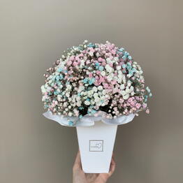 Nimfeya Flowers
