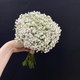   Vetochka🌿