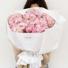 FANYA flower project