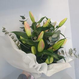 SheliFlawers