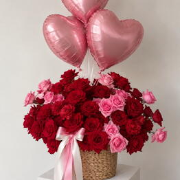 Why Not Flowers