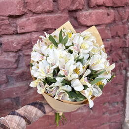 VGflowers