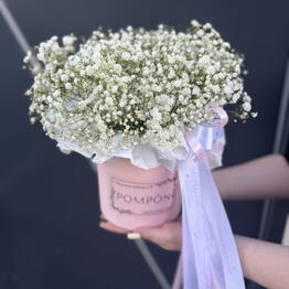 POMPON