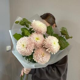 Bloom flower