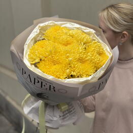 Solo Flowers
