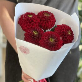 MaVa Flowers