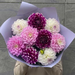 Garden Flowers
