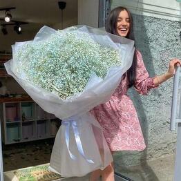 Bouquet of gypsophila giant