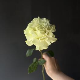 ArtFlower