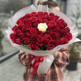 Flora