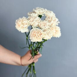BP Trade Flowers х Мурино