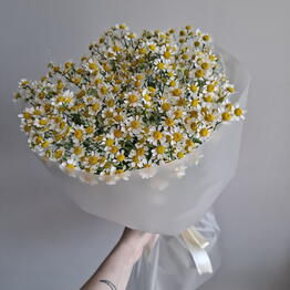 SENO FLOWERS