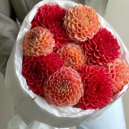 Vesna flowers
