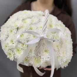 Vivat Flowers