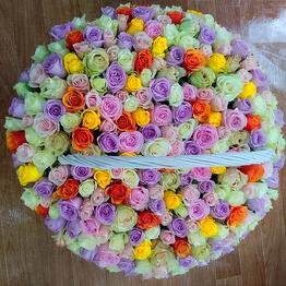 La rose