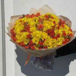 Bloom Boom