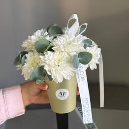 Amour Flora