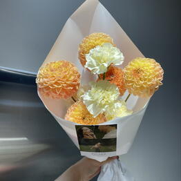 Vesna flowers