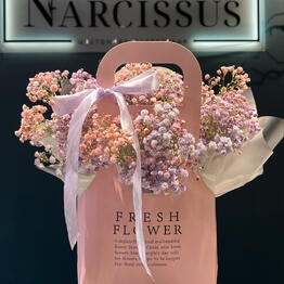 NARCISSUS