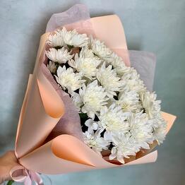 Chrysanthemum bush
