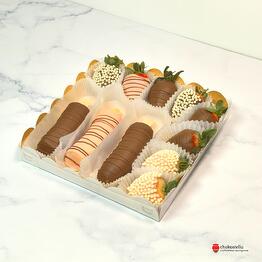 Chokostella