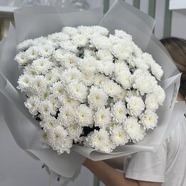 Не колючий букет 