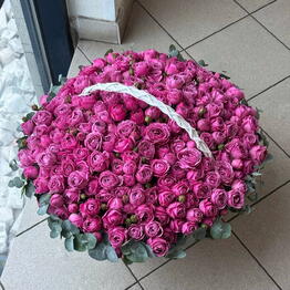 Porto Flowers