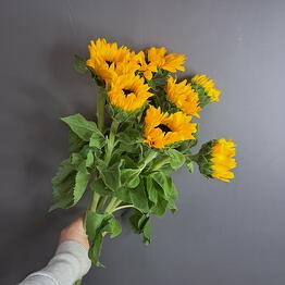 Букеты_тут