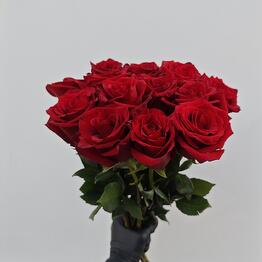 De Fleur 