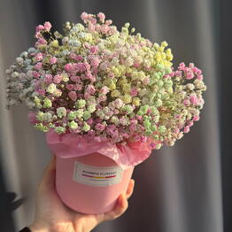 Bambini Flowers