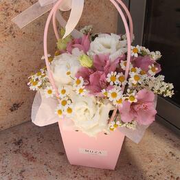 Muza Flowers